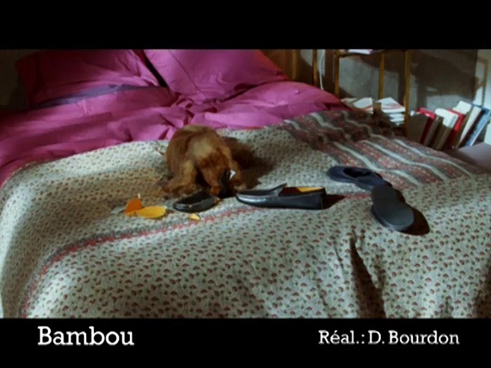 Bambou