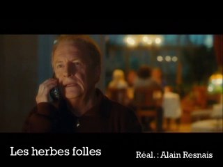 Les herbes folles VF sous-titrée anglais - Ext 2