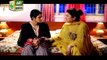 Watch Rishta Anjana Sa Episode 09 on Ary Digital in High Quality 8th August 2016