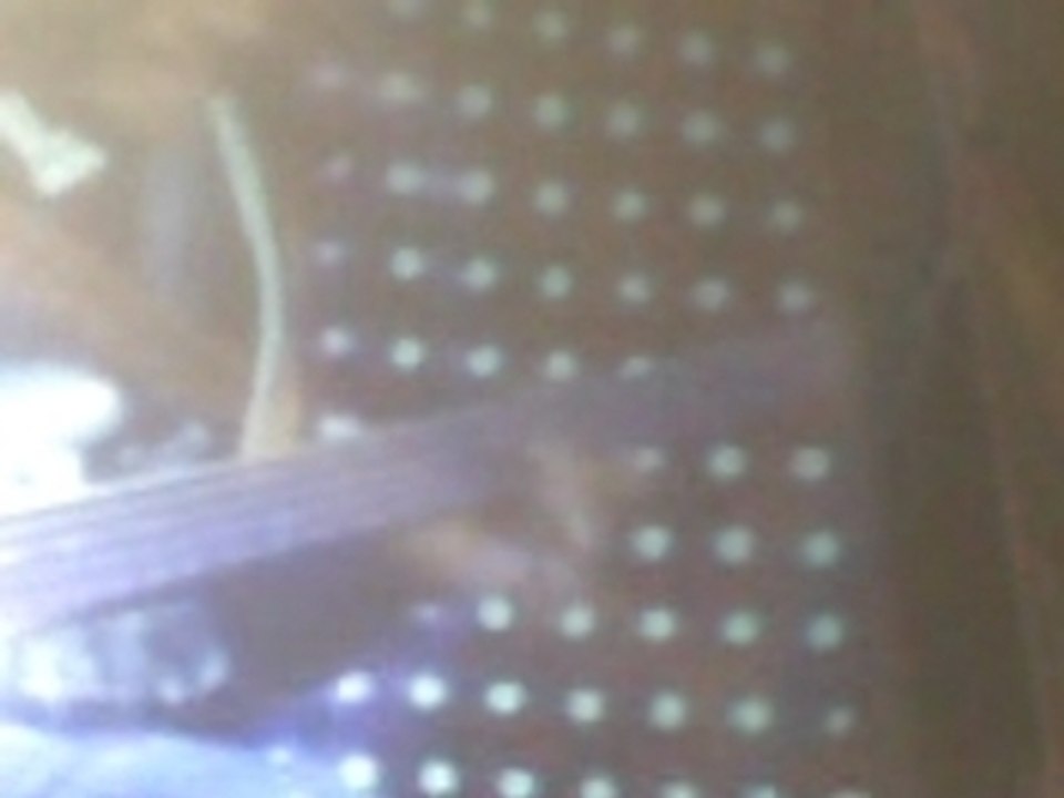 live bbk festival