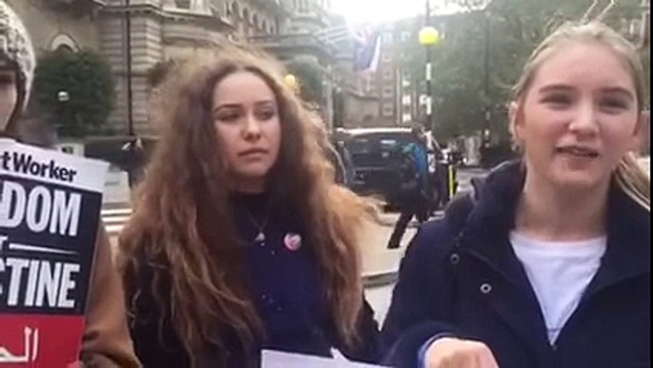 Clueless anti-Israel protester in London- this has to be watched. 17/10/2015