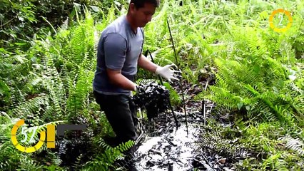 In 60 Seconds: US federal court rules in favor of chevron against Ecuador