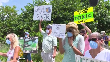Emergency declared in parts of Florida over algae blooms