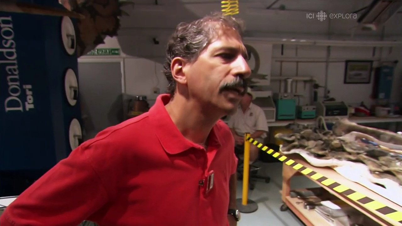 Secrets Of The Dinosaur Mummy