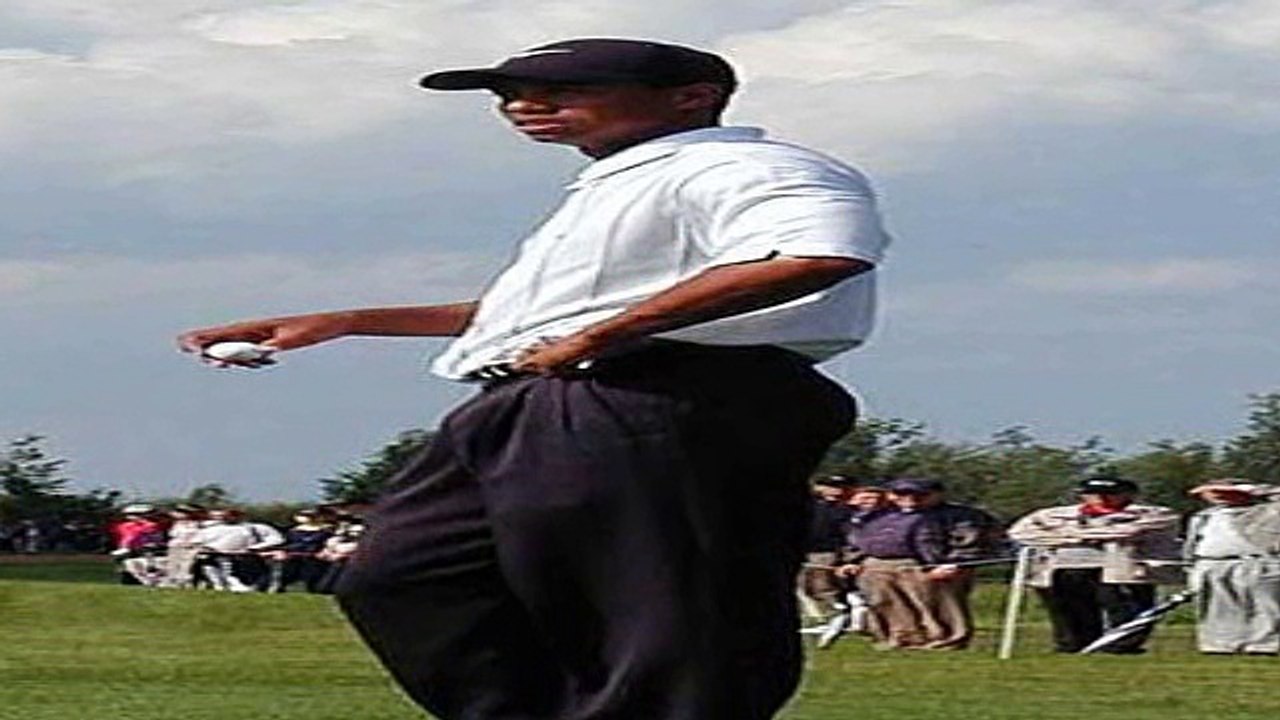 Golf equipment company is interested in Rory McIlroy but not Tiger Woods