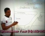 FERNANDO VIDEO DEMONSTRAO AULA ANATOMIA CAPILAR - Standard Quality 360p [File2HD.com]