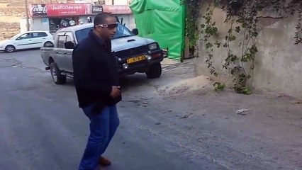 Dev Köpek ve Dev Piton Yılanın Karşılaşması