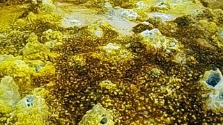 Ethiopia  Danakil Depression tour 10 Dallol  116m  Sonido yacimento sulfuro  2016