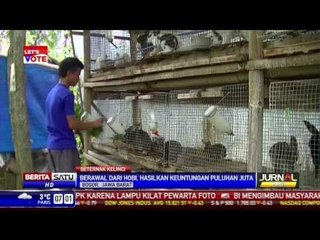 Di Bogor, Kelinci Bisa Hasilkan Puluhan Juta Rupiah