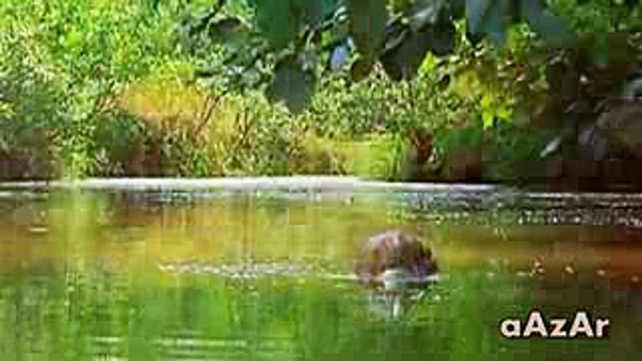 For_the_Motherland_-_Pakistan_Army_Song_WATAN_KE_LIYE_(HQ)