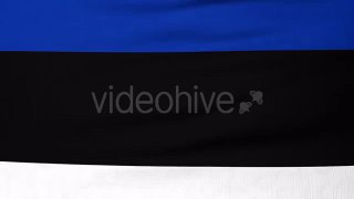 National Flag Of Estonia Flying On The Wind  - Motion graphics element from Videohive