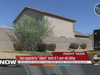 Teen suspected in violent death of Valley 3-year-old
