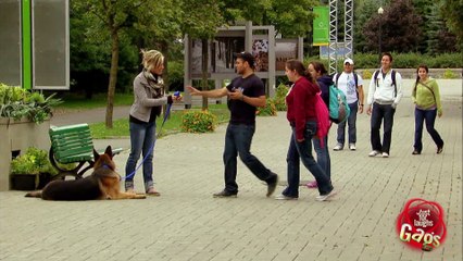 Dog Fetches Back Smelly Surprise !