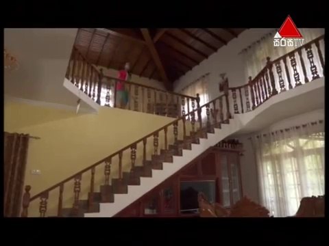 Adare Suwanda Aran 08th August 2016