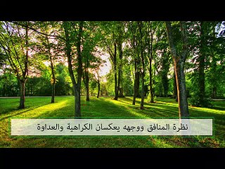 نظرة المنافق ووجهه يعكسان الكراهية والعداوة