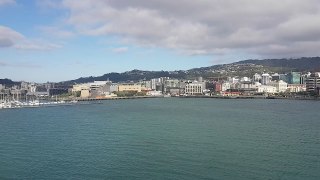 Wellington View from Sea