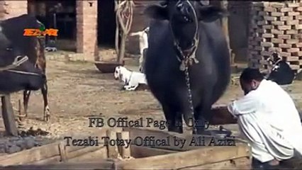 funny clips-funny pranks-funny fails-funny videos-Best Fails-top funny-funny videos 2016-Funny