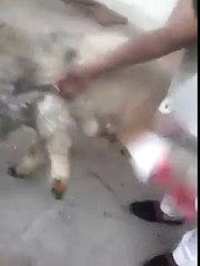 funny clips-funny pranks-funny fails-funny videos-Best Fails-top funny-funny videos 2016-Funny