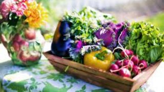 Garden Of Eaten | What You MUST Know About Vegetable Gardening