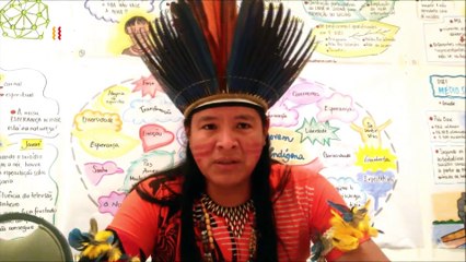 Esta es mi tierra - Brasil: Desarrollismo y discriminación