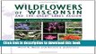 [Popular] Books Wildflowers of Wisconsin and the Great Lakes Region: A Comprehensive Field Guide
