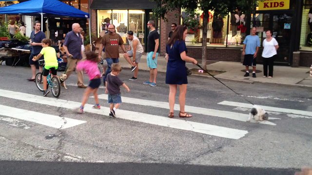 Brown Sugar - LIVE [mini-clip #7] Brown Sugar (on) E. Passyunk Ave., Phila., PA 7/27/16