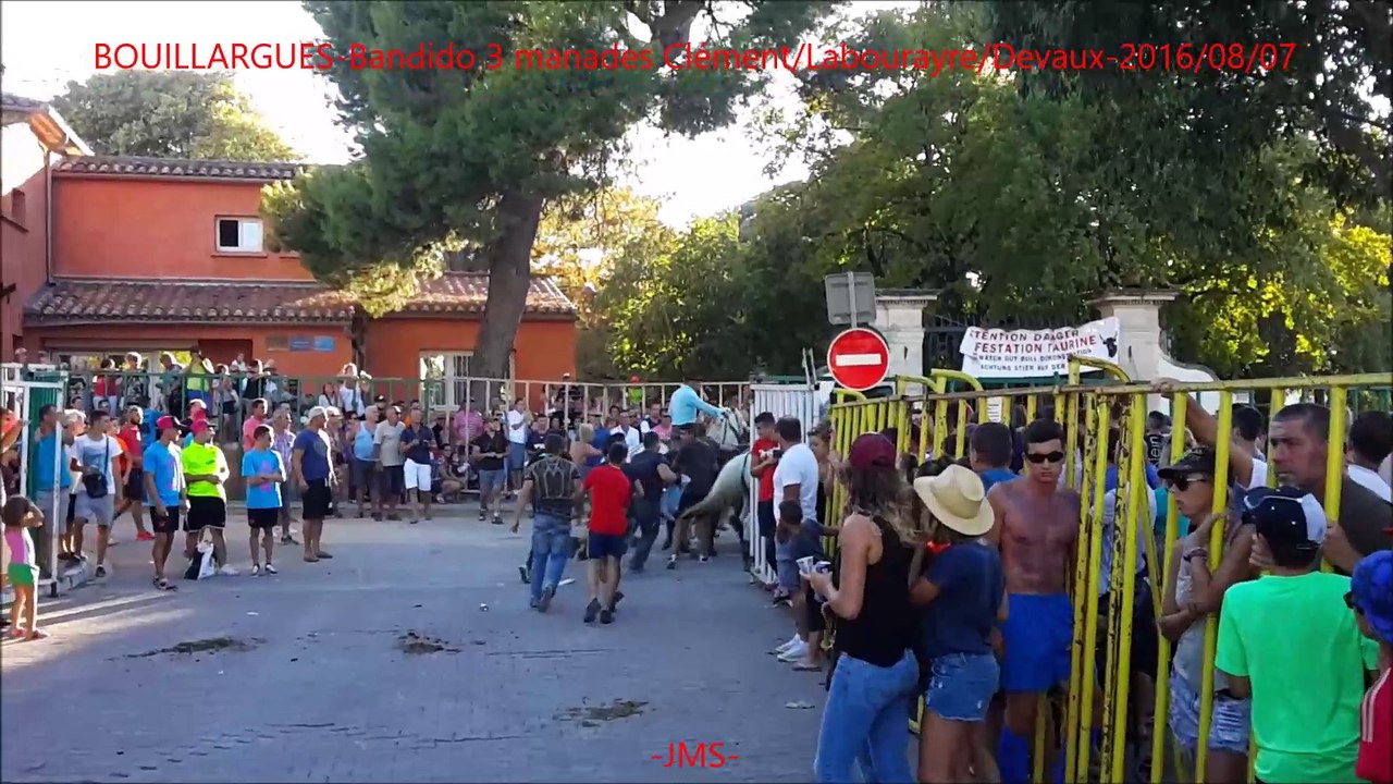 BOUILLARGUES-Bandido 3 manades Clément-Labourayre-Devaux-2016-08-07-DAILYMOTION