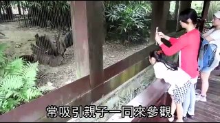 動物園清點數量 嚇死23隻鳥-蘋果日報