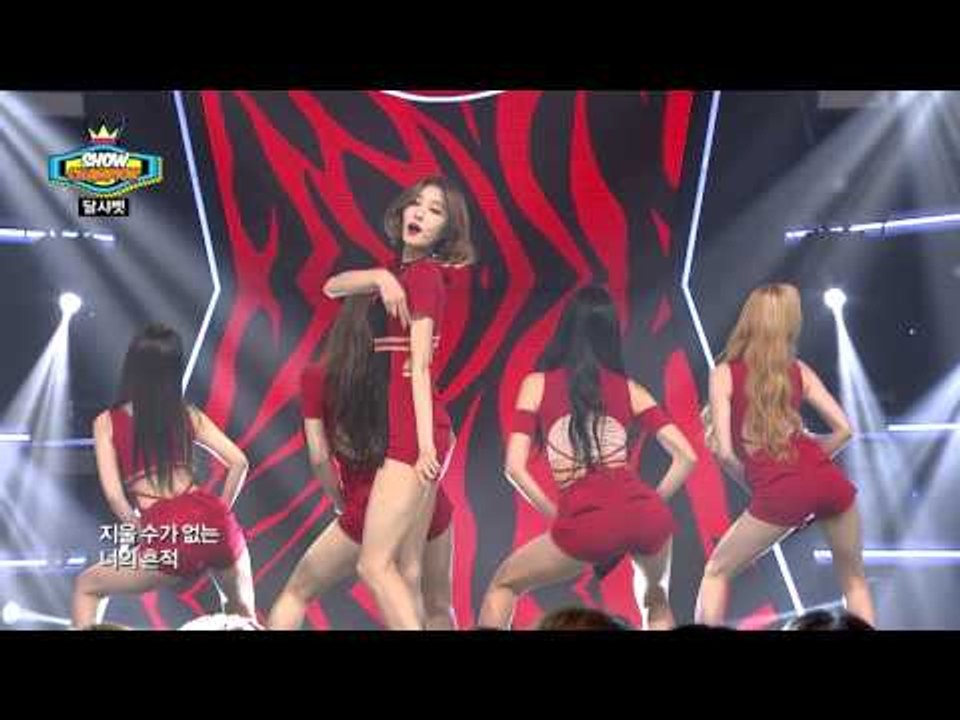 쇼챔피언 - episode-144  DALSHABET (달샤벳) - JOKER