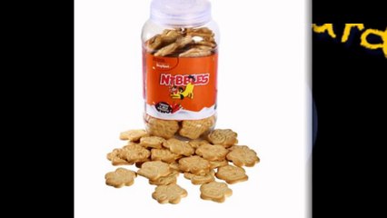 Dog Boarding San Marcos