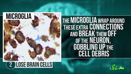 7 Weird Things That Happen Before You're 7