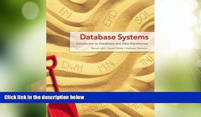 Big Deals  Database Systems: Introduction to Databases and Data Warehouses  Free Full Read Best