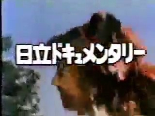 日立ドキュメンタリー　素晴らしい世界旅行