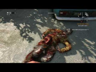 Golden crowbar???-Big D plays dying light