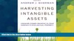 Must Have  Harvesting Intangible Assets: Uncover Hidden Revenue in Your Company s Intellectual