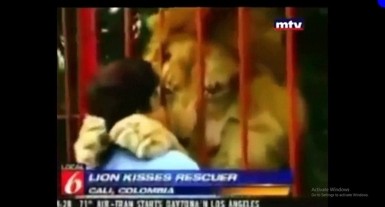 How Are Animals Better Than Humans