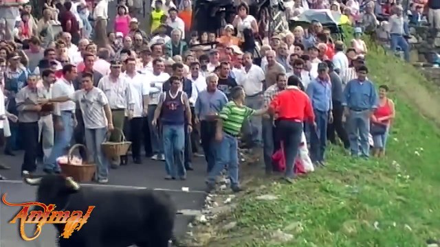 Most Awesome BullFighting Festival (P2) _ Top Funny Videos Compilation 2016 _ Funny Crazy Bull Fails