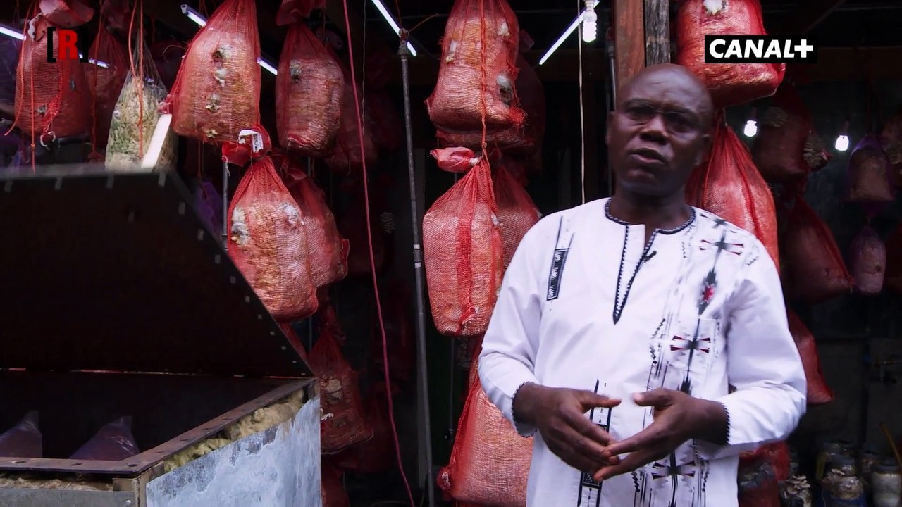 Brazzaville : les fermes urbaines en kit font fureur