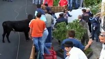 Funny video _ Funny Animal _ Funny crazy bull fails _ Most Awesome Bullfighting Festival #1