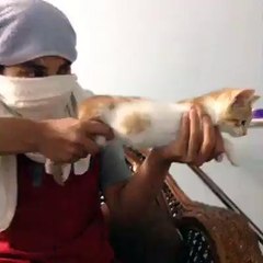 مضحك | شاهد ماذا يفعل بالقط