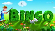 BINGO Dog Song - Nursery Rhyme With Lyrics - Cartoon Animation Rhymes -u0026 Songs for Children