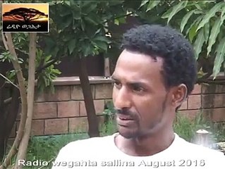 ኣይቀትልን ስለዝበልክዎም ደመይ ብቫይረስ በኪሎሞ፣ ዶር ነስረዲን መንሱር