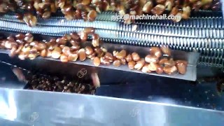 Broad Bean Frying Line|Broad Beans Fry Machine - GELGOOG