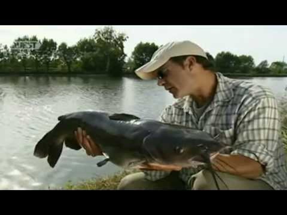 Matt Hayes: Lake Escapes S01E10 - Pisa Carp (Fishing)