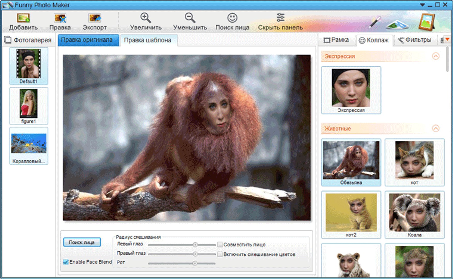 Funny Photo Maker программа для создания фотоприколов