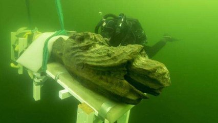 Top 10 Amazing Discoveries From Beneath The Sea