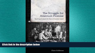 READ book  The Struggle for America s Promise: Equal Opportunity at the Dawn of Corporate Capital