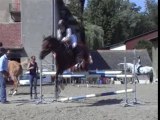 Médée et moi detente E1 juv championnat