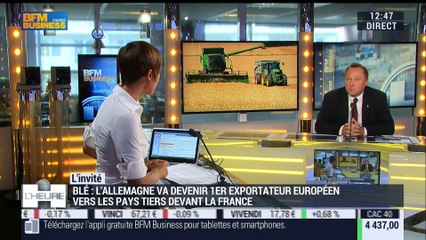 Agriculture: La production de blé connaît son pire niveau depuis 30 ans - 09/08