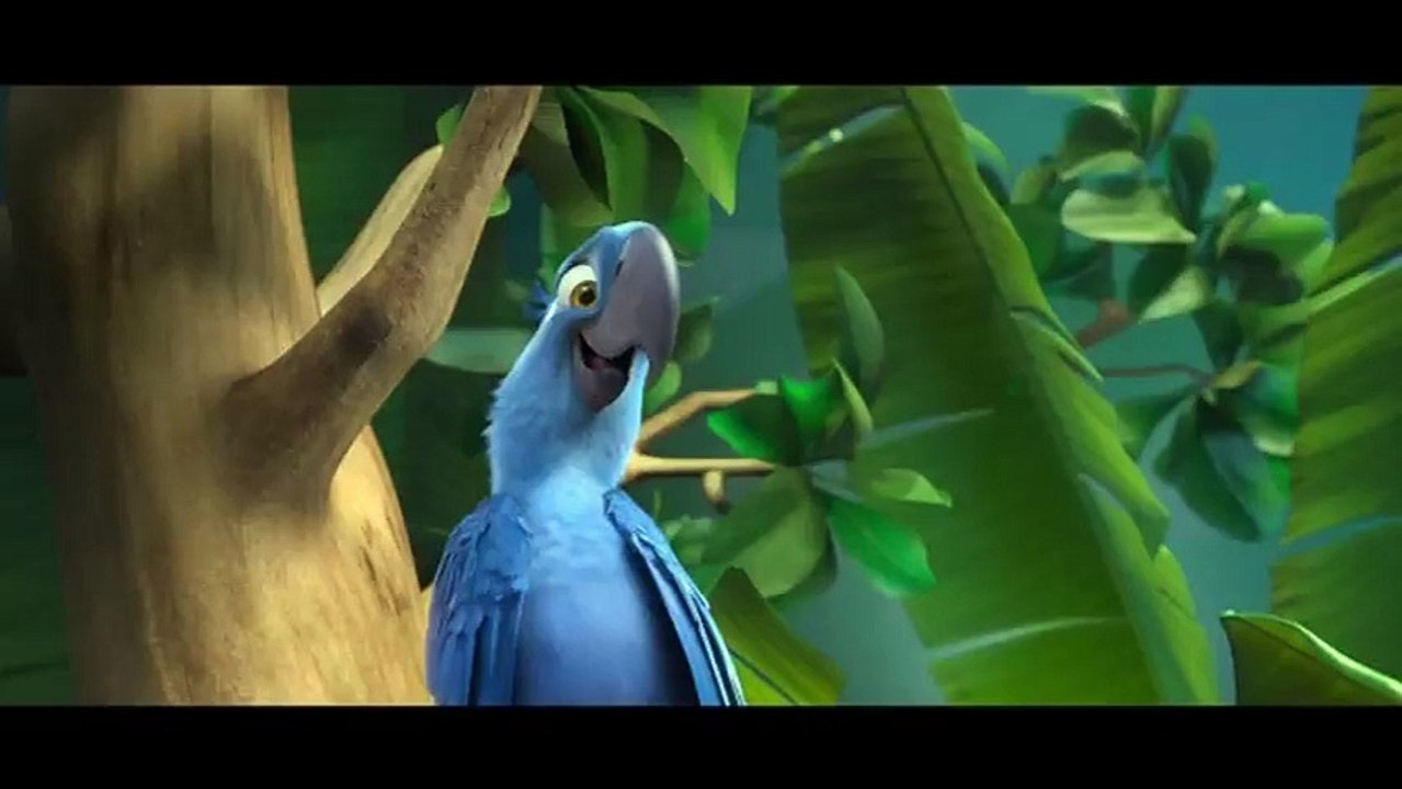 Rio VF (2)